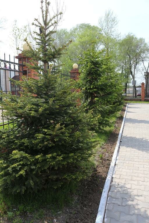 Гостиница Барбарис Биробиджан-8