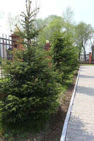 Гостиница Барбарис Биробиджан-4