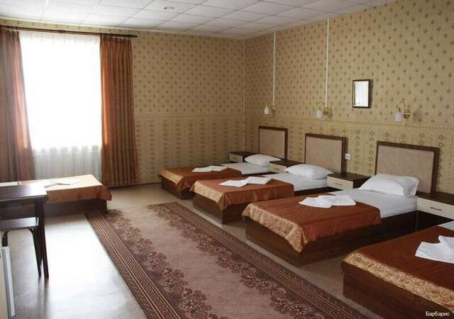 Гостиница Барбарис Биробиджан-173